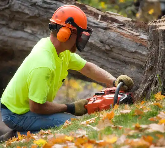 tree services Fairwood